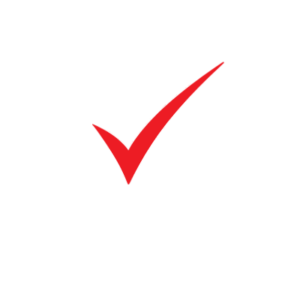 Napit Logo